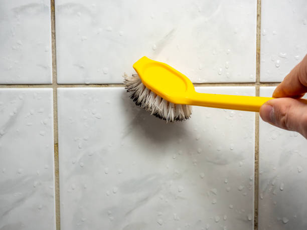 Best Local Mold Removal Service  in Lawton, OK
