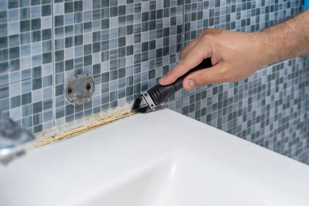 Best Commercial Mold Removal  in Lawton, OK