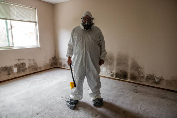 Best Affordable Mold Removal  in Lawton, OK